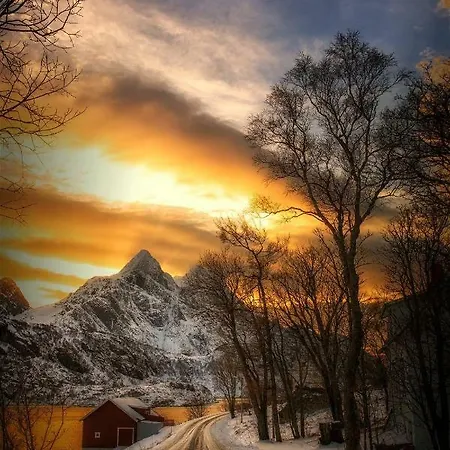 Lofoten Cabin * Bostad